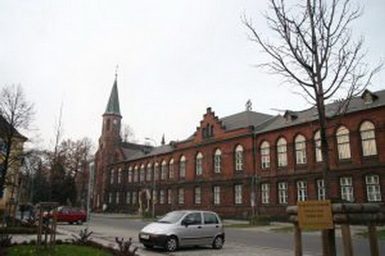 Pamětní lípy v centru Bohumína napadl škůdce, město musí vysadit nové stromy