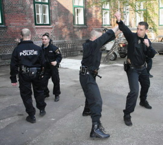 Městská policie hledá posilu do svého týmu