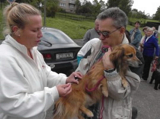 Povinné očkování psů proti vzteklině
