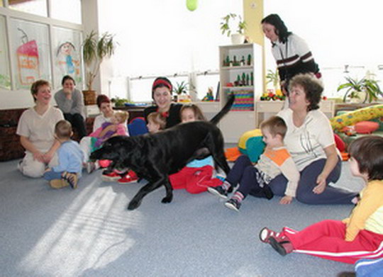 Komunitní plánování sociálních služeb města Bohumína