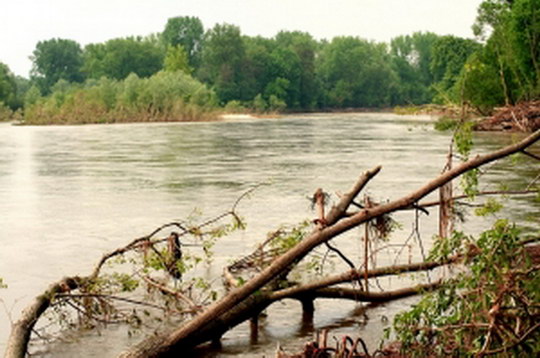 V noci z úterý na středu region zasáhne vydatný déšť, hladiny řek budou podle prognóz stoupat