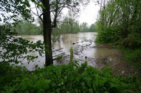 Vyhlídky jsou příznivé, o víkendu podle meteorologů pršet nebude