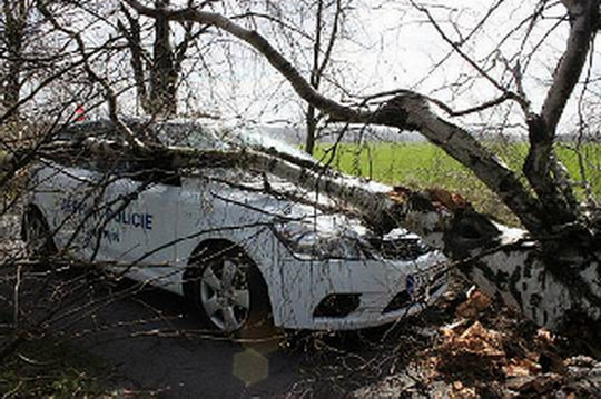 Automobil bohumínských strážníků zdemoloval padající strom