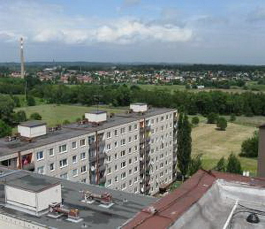 Bohumín získal 15 milionů na výsadbu stromů