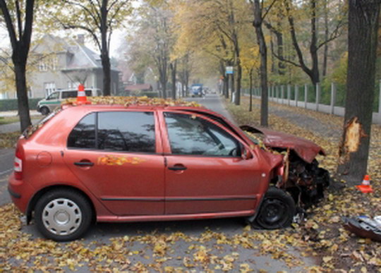Podnapilý muž nezvládl řízení a s automobilem narazil do stromu