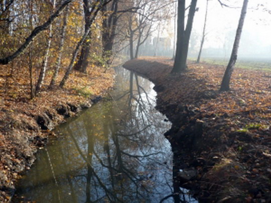 Koryto Bajcůvky ve Starém Bohumíně se zbavilo nánosu sedimentů