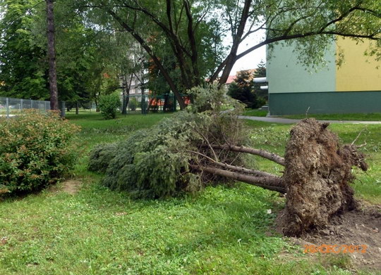 Zahradníci odstraňovali následky silného větru z minulého týdne