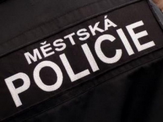 Městští strážníci nalezli kradené auto a zadrželi potížistu z Ostravy