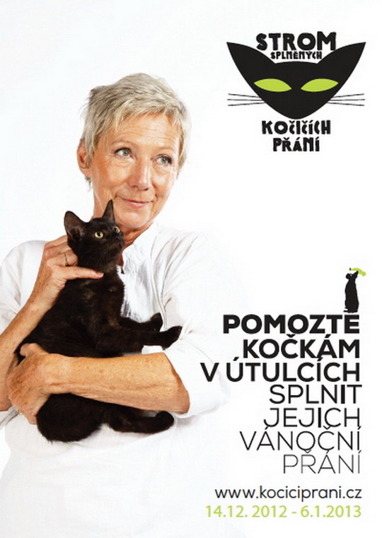 Kočkám v útulcích se popáté splní jejich přání, jsou mezi nimi i ty z Bohumína