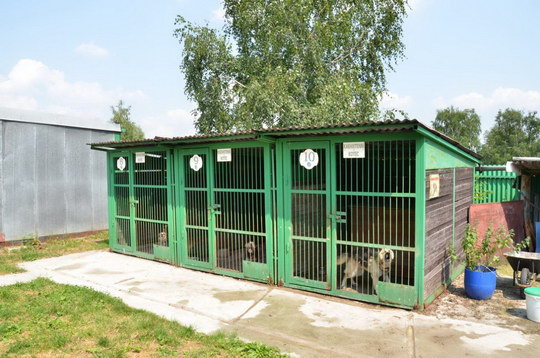 Dobrovolníci se v pondělí sejdou k brigádě v psím útulku