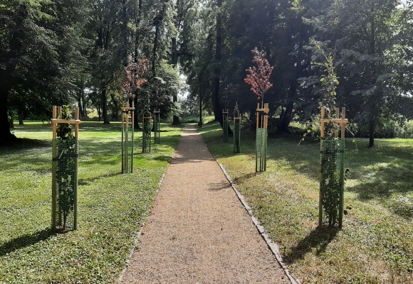 V zámeckém parku se ujaly mladé sazenice, doplnily alej