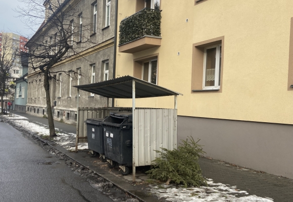 Kam s vánočním stromkem?