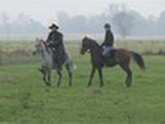 Hubertova jízda 2009 - show video