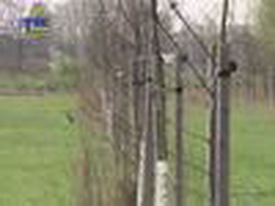 2000 nových stromů pro Bohumín - show video