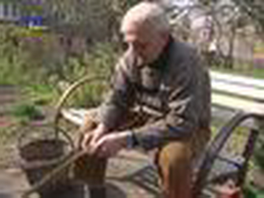 Pomlázky plete už 50 let - show video