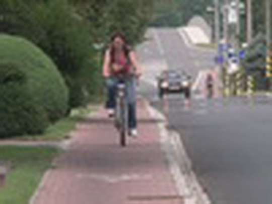 Cyklisté na cyklostezce - show video