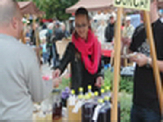 Vinobraní a 90 let knihovny - show video