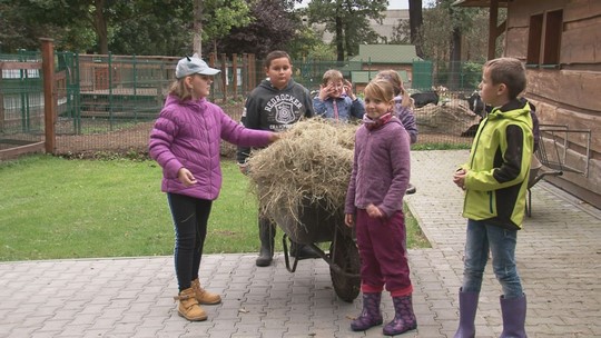 Mladí chovatelé pomáhají s péčí o zvířata na ranči - show video