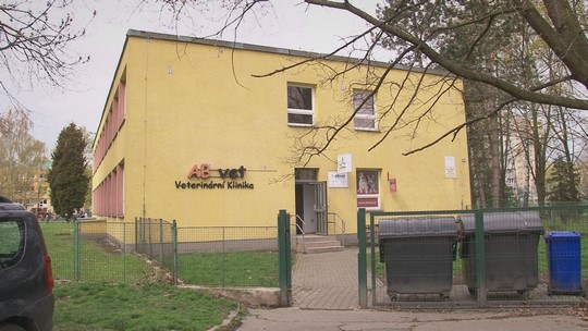 Bohumín představil studii chystané zubní kliniky - show video