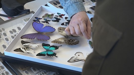 Desátá entomologická výstava ve Starém Bohumíně - show video