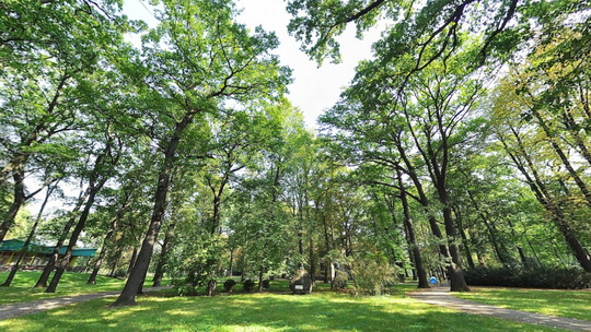 Park of Petr Bezruc - Show virtual view