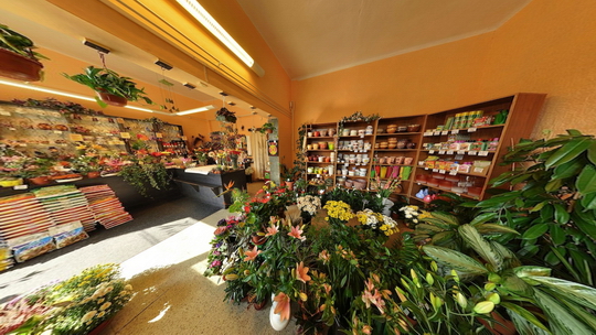 Flowers, gift items - Kateřina Helisová - Show virtual view